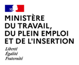 Emploi Gouv Logo